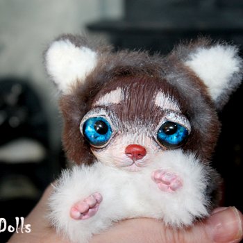 Чихуашка Чуня