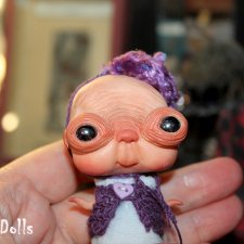 Любимчик Пончик