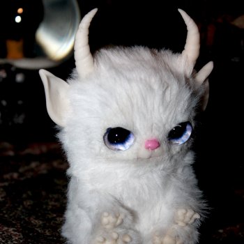 Котик, беленький