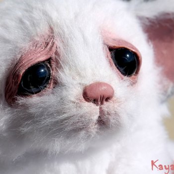 Не котенок, не щенок