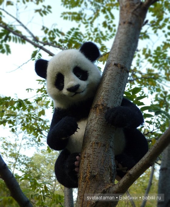 Игрушка валянием из шерсти ручной работы Пандочка (фото 5)