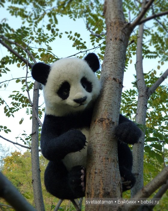 Игрушка валянием из шерсти ручной работы Пандочка (фото 4)