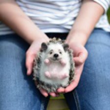 Ёжик Шуршунчик. Игрушки валянием из шерсти
