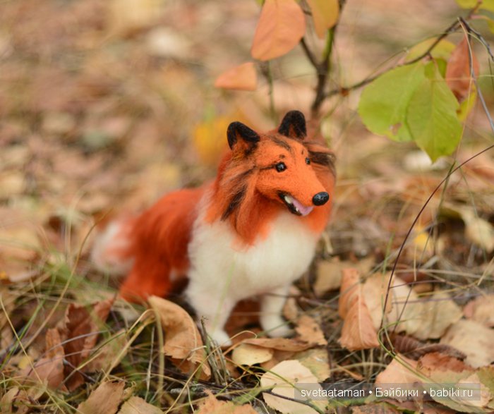 Шелти. Игрушка валянием из шерсти (фото 6)