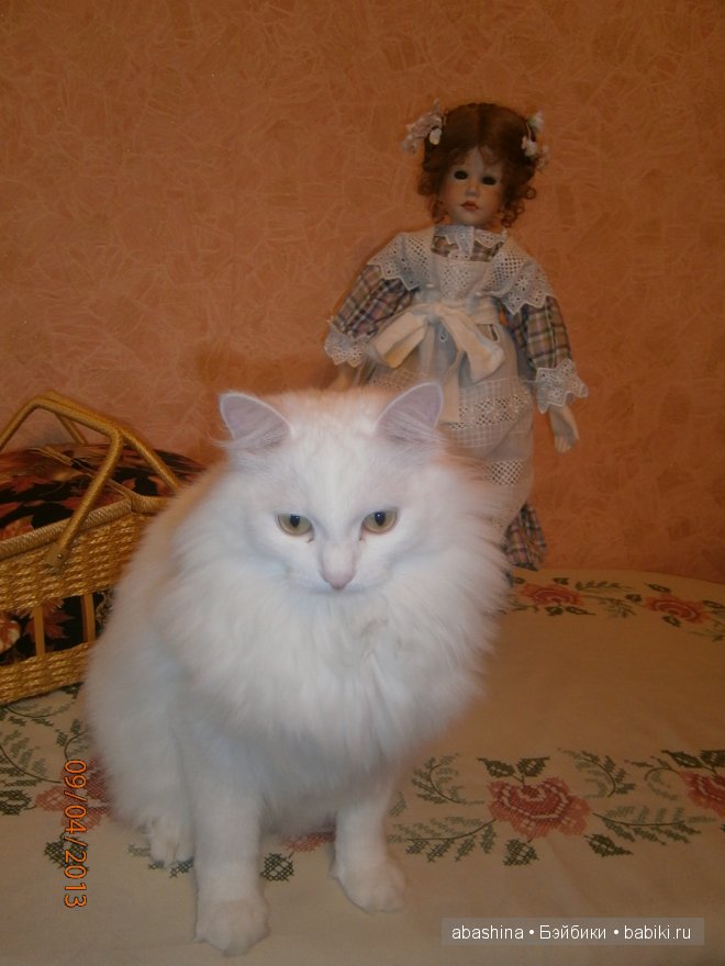 Маленькая фарфорочка от Hildegard Gunzel | Бэйбики Маленькая фарфорочка от Hildegard Gunzel (фото 9)