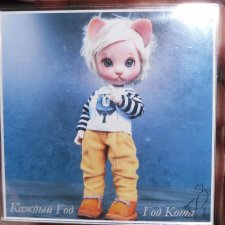 Каждый день - день КОТА (*_*)