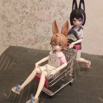 Хотару и Хоси - кролики августа