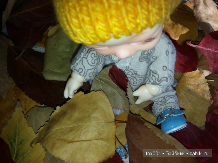 Осенний привет — Куклы Soom (Сум): BJD (БЖД) (фото 6)
