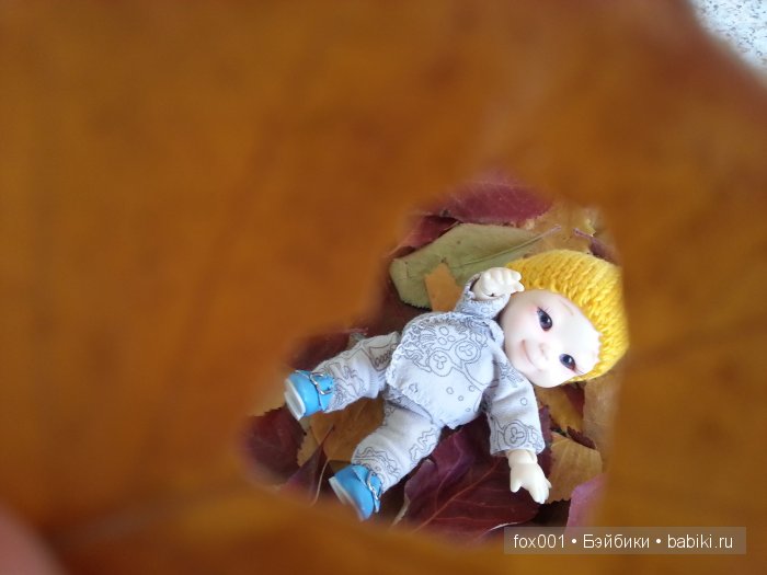 Осенний привет — Куклы Soom (Сум): BJD (БЖД) (фото 8)