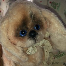 Маленький щеночек Ханни