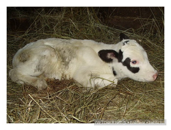 Июль сенокосом славен. Куклы в русских народных костюмах