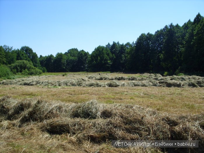 Июль сенокосом славен. Куклы в русских народных костюмах