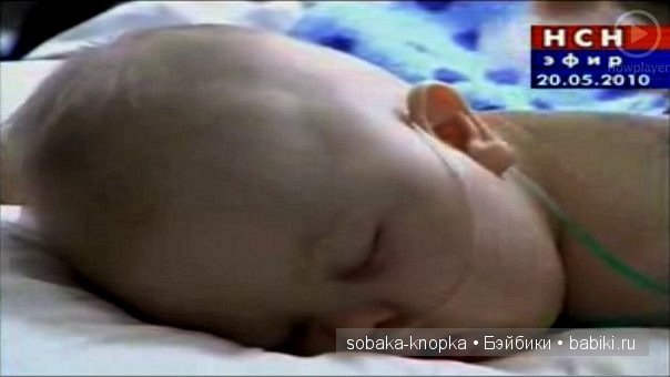 Мой маленький Кьюпи — Дневник sobaka