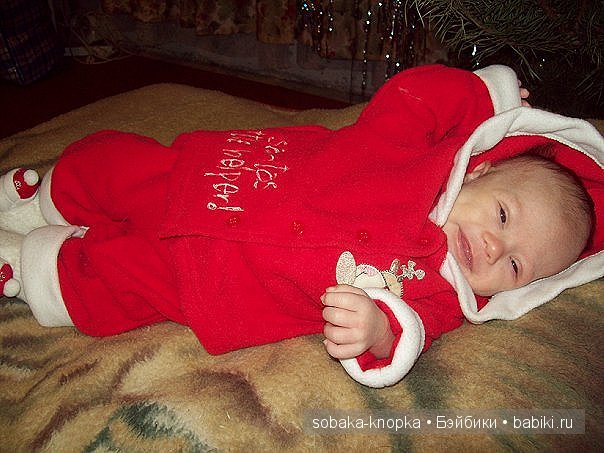 Мой маленький Кьюпи — Дневник sobaka (фото 3)