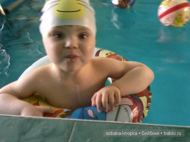 Мой маленький Кьюпи — Дневник sobaka