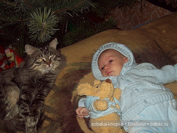 Мой маленький Кьюпи — Дневник sobaka (фото 5)