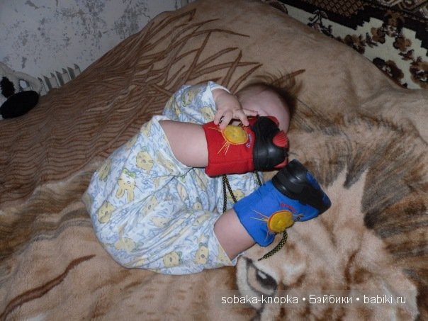 Мой маленький Кьюпи — Дневник sobaka