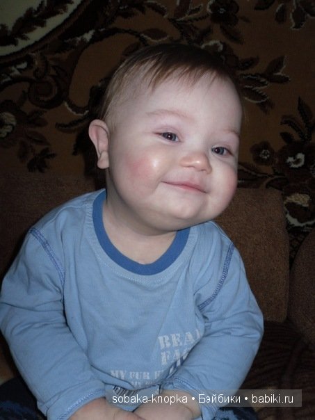 Мой маленький Кьюпи — Дневник sobaka