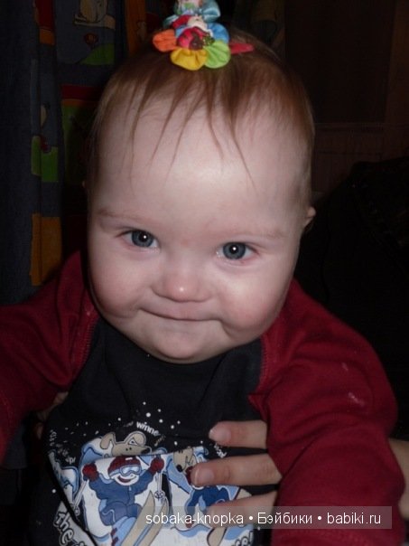 Мой маленький Кьюпи — Дневник sobaka