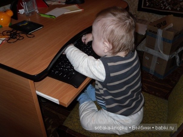 Мой маленький Кьюпи — Дневник sobaka