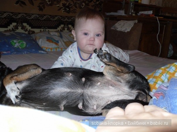 Мой маленький Кьюпи — Дневник sobaka