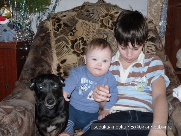 Мой маленький Кьюпи — Дневник sobaka