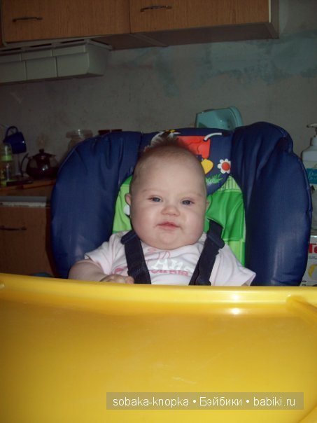 Мой маленький Кьюпи — Дневник sobaka