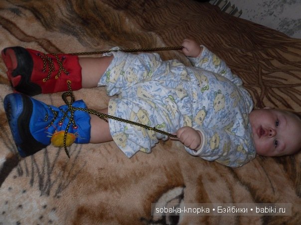 Мой маленький Кьюпи — Дневник sobaka