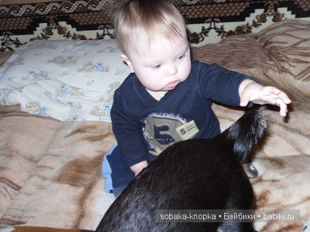 Мой маленький Кьюпи — Дневник sobaka (фото 9)