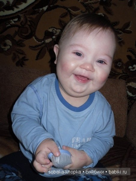 Мой маленький Кьюпи — Дневник sobaka