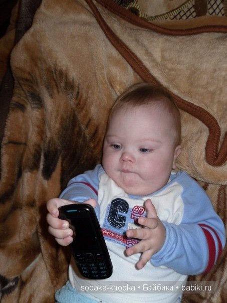 Мой маленький Кьюпи — Дневник sobaka