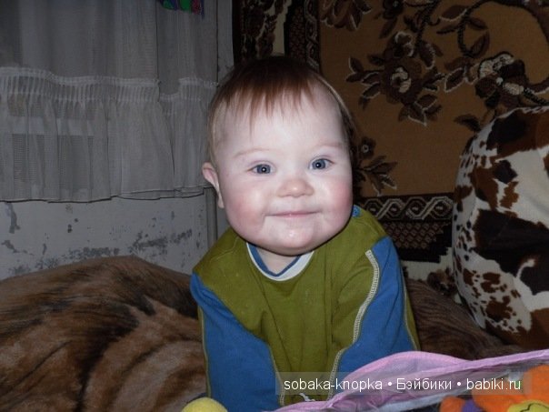 Мой маленький Кьюпи — Дневник sobaka