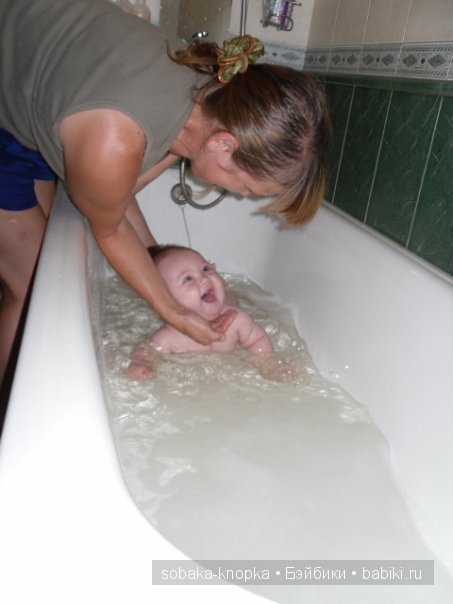 Мой маленький Кьюпи — Дневник sobaka