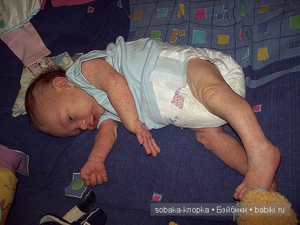 Мой маленький Кьюпи — Дневник sobaka