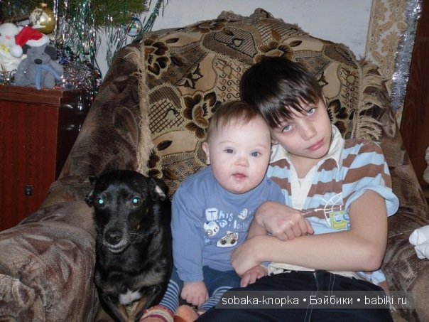 Мой маленький Кьюпи — Дневник sobaka