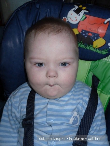 Мой маленький Кьюпи — Дневник sobaka