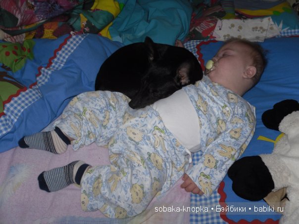 Мой маленький Кьюпи — Дневник sobaka (фото 6)