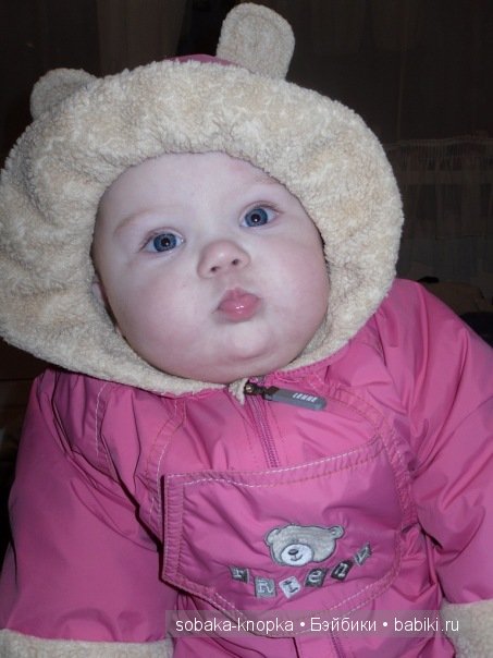 Мой маленький Кьюпи — Дневник sobaka