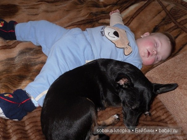 Мой маленький Кьюпи — Дневник sobaka (фото 8)