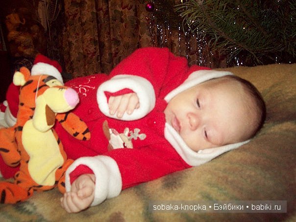 Мой маленький Кьюпи — Дневник sobaka (фото 2)