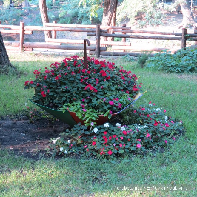 Долгожданная радость. Кукла Gotz