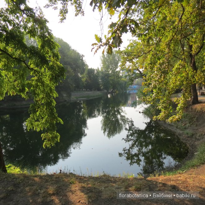 Долгожданная радость. Кукла Gotz