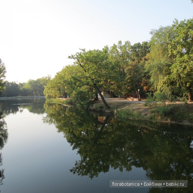 Долгожданная радость. Кукла Gotz