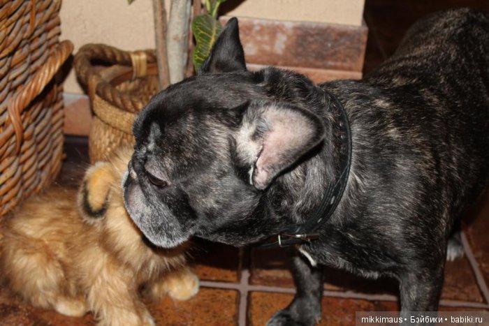 Любимые игрушки HANSA — Интересные игрушки и фигурки (разное): редкие