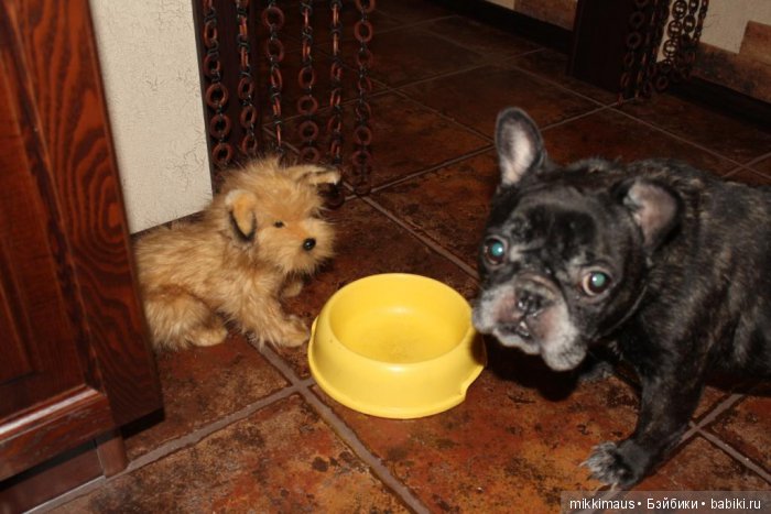 Любимые игрушки HANSA — Интересные игрушки и фигурки (разное): редкие