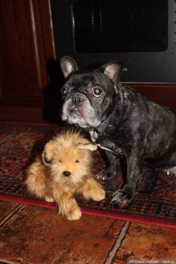 Любимые игрушки HANSA — Интересные игрушки и фигурки (разное): редкие