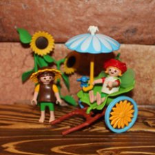 Playmobil "Эльф и Фея-цветок в повозке"