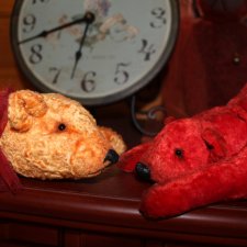 Полярные медведи бывают разными