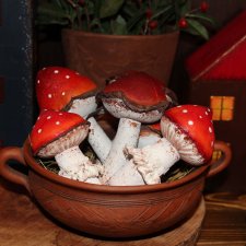 Мухоморчики мои. Игрушки Анны Глазуновой