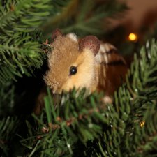 Бурундуки спешат на Ёлку